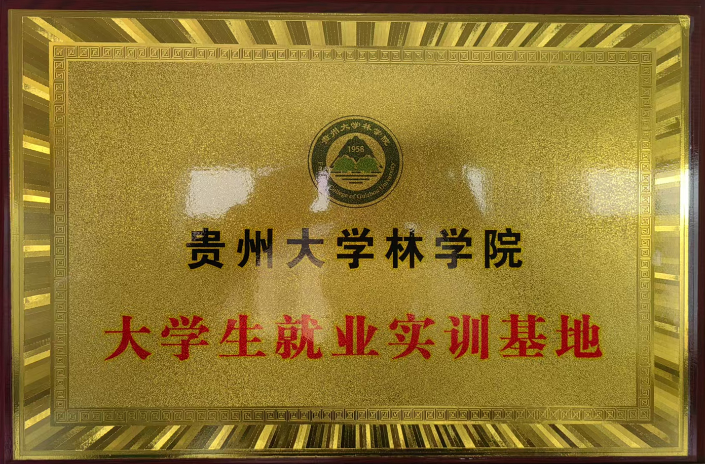 貴州大學(xué)林學(xué)院大學(xué)生就業(yè)實(shí)訓(xùn)基地
