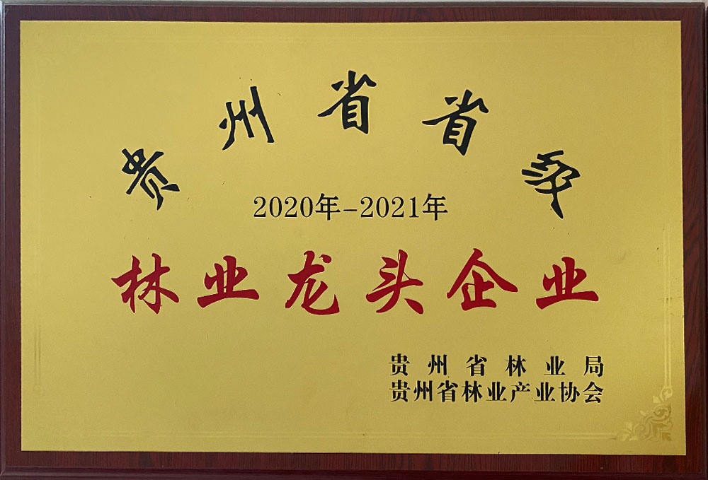 貴州省2020-2021年林業(yè)龍頭企業(yè)